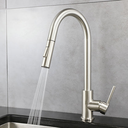 Brushed Nickel or Matte Black Aqua Spray Faucet